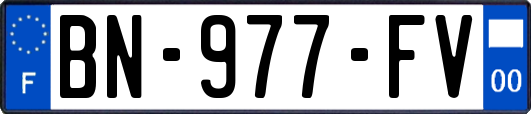 BN-977-FV