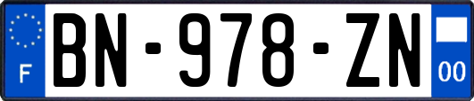 BN-978-ZN