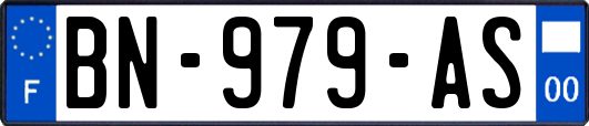 BN-979-AS