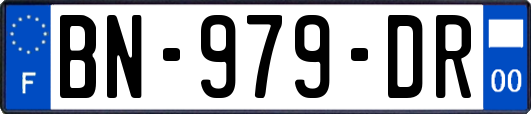 BN-979-DR