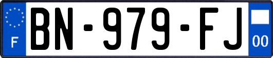 BN-979-FJ