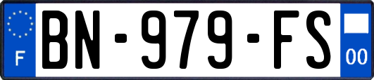 BN-979-FS