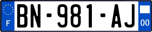 BN-981-AJ