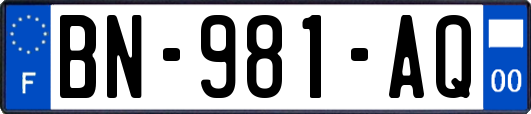 BN-981-AQ