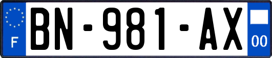 BN-981-AX