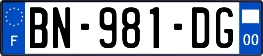 BN-981-DG