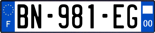 BN-981-EG
