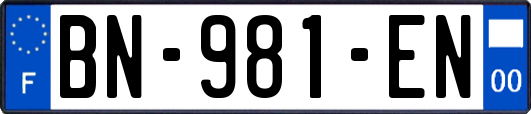 BN-981-EN