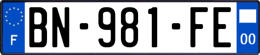 BN-981-FE