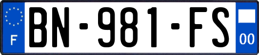 BN-981-FS