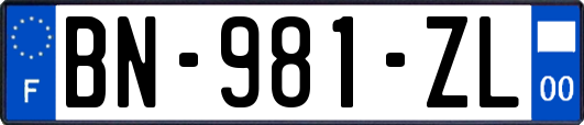 BN-981-ZL