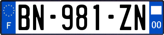 BN-981-ZN