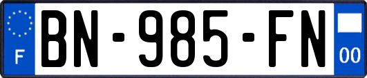 BN-985-FN