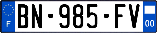 BN-985-FV