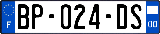 BP-024-DS