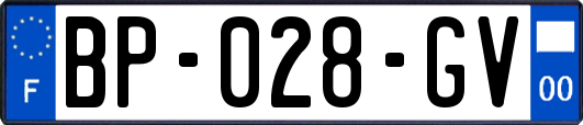 BP-028-GV