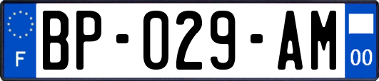 BP-029-AM