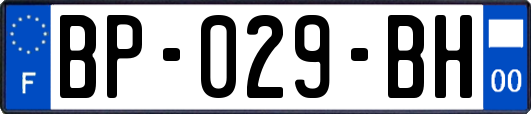 BP-029-BH