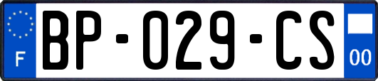 BP-029-CS