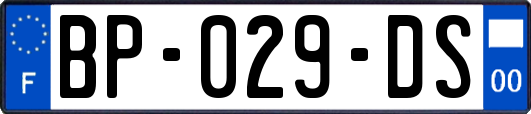 BP-029-DS