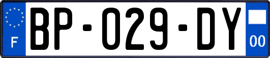 BP-029-DY