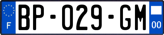 BP-029-GM