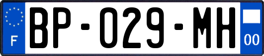 BP-029-MH