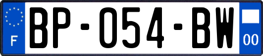 BP-054-BW