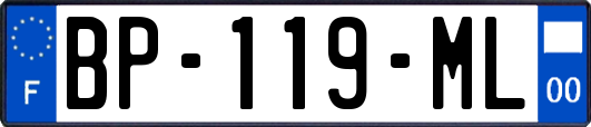 BP-119-ML