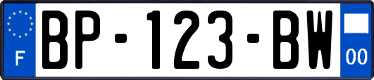 BP-123-BW