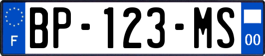 BP-123-MS