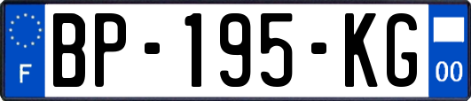 BP-195-KG
