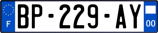 BP-229-AY