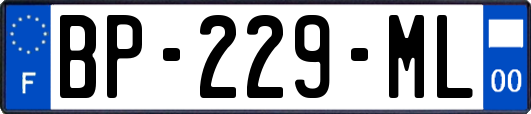 BP-229-ML