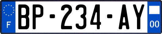 BP-234-AY