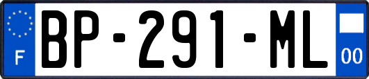 BP-291-ML