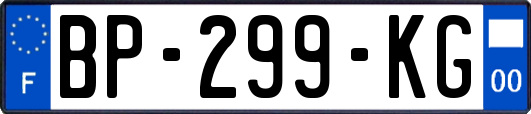 BP-299-KG