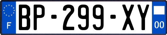 BP-299-XY