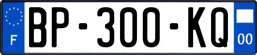 BP-300-KQ