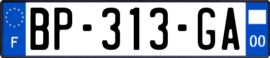 BP-313-GA