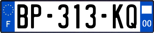 BP-313-KQ