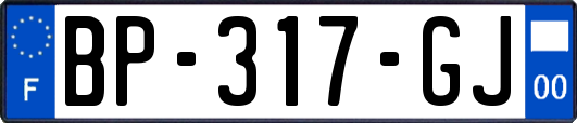 BP-317-GJ