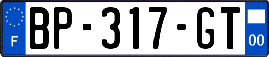 BP-317-GT