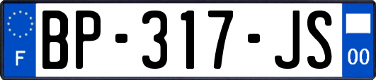 BP-317-JS