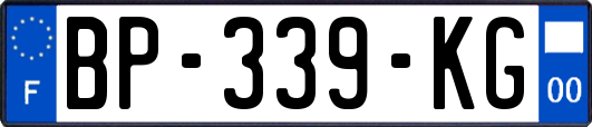 BP-339-KG