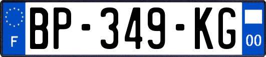 BP-349-KG