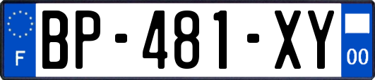 BP-481-XY