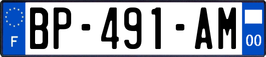 BP-491-AM