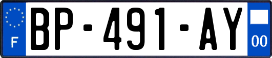 BP-491-AY
