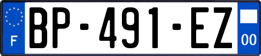 BP-491-EZ